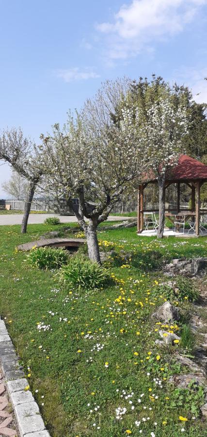 B&B Talstation Horselberg-Hainich Εξωτερικό φωτογραφία